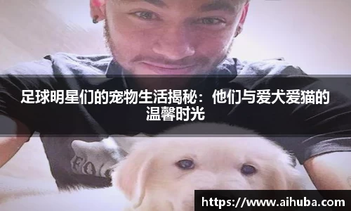 熊猫体育官网入口